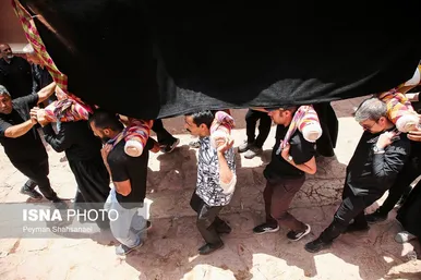 محرم ۱۴۰۴ | عکس‌هایی از نخل‌گردانی روز عاشورا در روستای تاریخی ابیانه - اصفهان