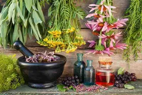 داروی گیاهی هم دارو است، مصرف خودسرانه آن می&zwnj;تواند خطرناک و حتی مرگبار باشد