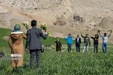 نذر گل نرگس به مقصد حرم
