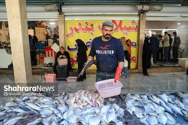 گزارش تصویری |  بازار ماهی فروشان در شهرک عرب‌های مشهد