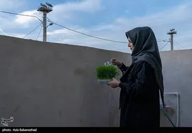 ایران زیباست | همزیستی لک لک&zwnj;ها در روستای کپر جودکی بروجرد با مردم روستا