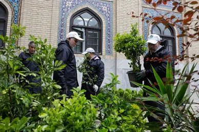 عکس‌هایی از ورود کاروان گل‌های اهدایی به حرم مطهر رضوی