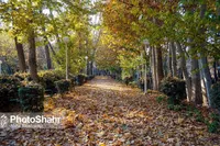 روند افزایشی دما در خراسان رضوی ادامه دارد (۲ دی ۱۴۰۲)