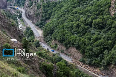 گزارش تصویری | «جاده چالوس» گذرگاه بهاری عشایر
