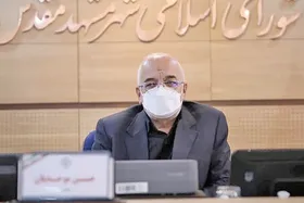 موحدیان: تاکنون هیچ طرحی برای حمایت از شهرخودرو به شورا نیامده است