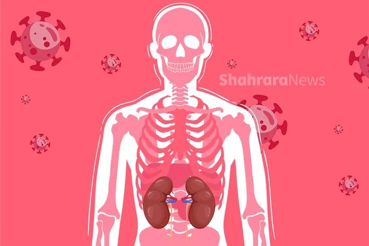 آیا ویروس کرونا تهدیدی مرگ‌آور برای بیماران کلیوی است؟