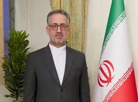 محکومیت استمرار اتهام&zwnj;زنی دروغین به اتباع ایرانی در پرونده &laquo;آمیا&raquo;