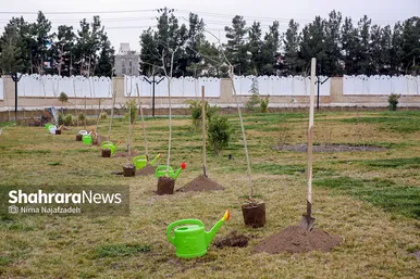 شهر تکانی در مشهدالرضا