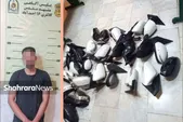 دستگیری باند سرقتی که لوازم دزدی را به صاحبانشان می‌فروخت