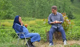 درباره &laquo;ناگهان درخت&raquo; به کارگردانی صفی یزدانیان که اکران آنلاین می&zwnj;شود