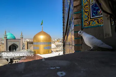 مراسم تعویض پرچم گنبد و پوش ضریح حرم مطهر ثامن الحجج (ع)