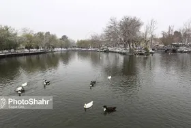 تداوم وزش باد و افزایش ابرناکی در خراسان رضوی | اواخر هفته سرد خواهد شد (۶ آذر ماه ١۴٠١)