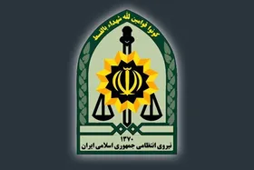 آیا سامانه پلیس برای ارسال تصاویر هنجار شکنانه فعال شده است؟