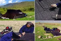نگاهی به نقش زنان عشایر خراسان شمالی در تولید صنایع دستی