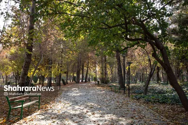 رنگ پاییز در پارک ملت مشهد