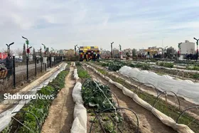 ایجاد بیش از ۳۰۰ مزرعه شهری در بوستان برکت مشهد