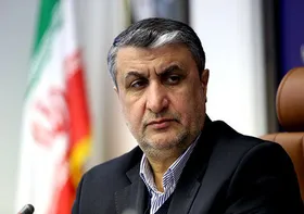 محمد اسلامی: حتی با لغو تحریم&zwnj;ها غنی&zwnj;سازی ۲۰ درصد ادامه دارد