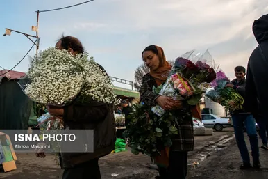 بازار گل محلاتی تهران در آستانه سال نو