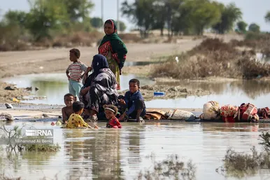 واکسیناسیون دام در مناطق سیل زده