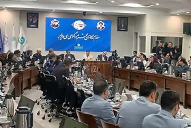 نخستین سمپوزیوم علمی طب روان&zwnj;تنی در مشهد برگزار شد | روان&zwnj;درمانی، زیربنای علاج بیماری&zwnj;ها + فیلم
