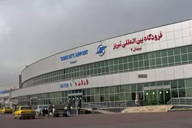 سگ&zwnj;های ولگرد در باند فرودگاه تبریز + فیلم