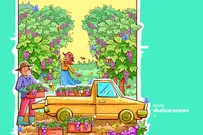 سرگرمی با بگرد و پیدا کن | زنبورها؛ بازیگوش‌های باغچه