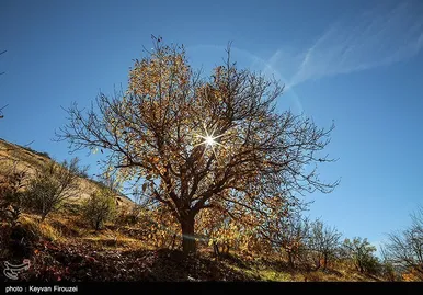 ایران زیباست | پاییز رنگارنگ کردستان
