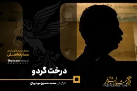 معرفی فیلم&zwnj;های سی و هشتمین جشنواره فجر/ درخت گردو