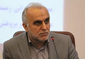 ۲۲ درصد از بخش فرار مالیاتی وصول شد