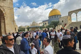محکومیت یورش صهیونیست ها به مسجد الاقصی از سوی عربستان و اردن