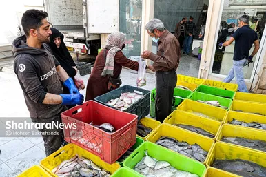 بازار ماهی فروشان در شهرک عرب‌های مشهد