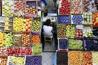قیمت میوه از هفته آینده در مشهد کاهش می‌یابد