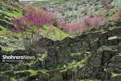 گزارش تصویری | دره «ارغوان» مشهد