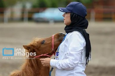 گزارش تصویری | جشنواره زیبایی اسب‌ کاسپین