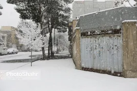 ثبت میانگین بارش ۹ سانتی&zwnj;متر برف در ایستگاه&zwnj;های هواشناسی تایباد (۷ اسفند ۱۴۰۲)