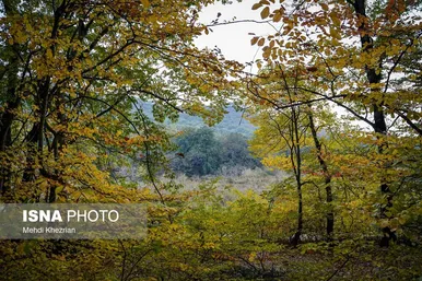 گزارش تصویری | پاییز در النگ دره