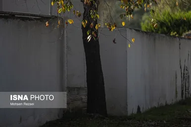 گزارش تصویری | پادشاه فصل‌ها پاییز