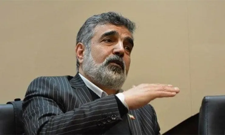 سخنگوی سازمان انرژی اتمی دچار حادثه شد