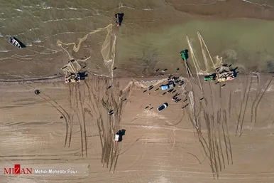 آغاز فصل صید ماهی استخوانی در مازندران