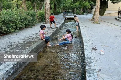 گزارش تصویری | پناه به سایه؛ روایت شهر در روزهای داغ