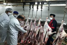 ۱۱۶ تیم دامپزشکی در تشدید نظارت&zwnj;های بازار آخر سال خراسان رضوی فعال&zwnj;اند