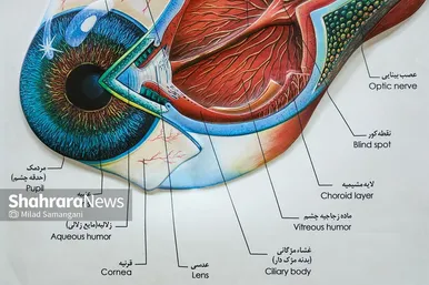 دارالشفای امام رضا (ع)