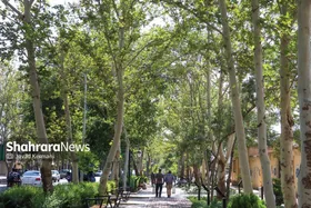 تلاش بی&zwnj;وقفه برای حفظ طراوت مشهد در گرمای تابستان و بحران آب