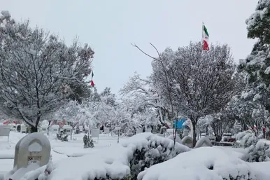 گزارش تصویری | حال و هوای برفی گلزار مطهر شهدا آرامستان بهشت رضا (ع) مشهد (۲۵ آذر ۱۴۰۳)