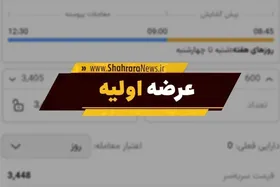 فردا چهارشنبه عرضه اولیه داریم (۲۴ دی ۱۴۰۴) | چقدر حسابمان را شارژ کنیم؟