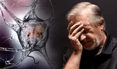 هشدار انجمن آلزایمر ایران؛ سن ابتلا به «فراموشی مهلک» به جوانان رسید | یک میلیون ایرانی درگیر زوال عقل