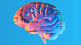 ویدئو | &laquo;IQ&raquo; ایرانیان زیر خط اختلال ذهنی/ میانگین ضریب هوشی ایرانیان ۶۸ است؟!