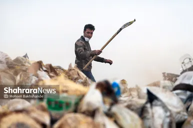 امحاء کالاهای معدومی سازمان اموال تملیکی‎‎