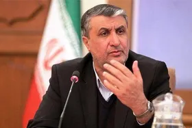 تأکید رهبر معظم انقلاب بر توانمندی اثرگذار عرصه انرژی هسته&zwnj;ای و برق اتمی | رئیس سازمان انرژی اتمی: سوخت ۶۰ درصد را دست تولید داریم