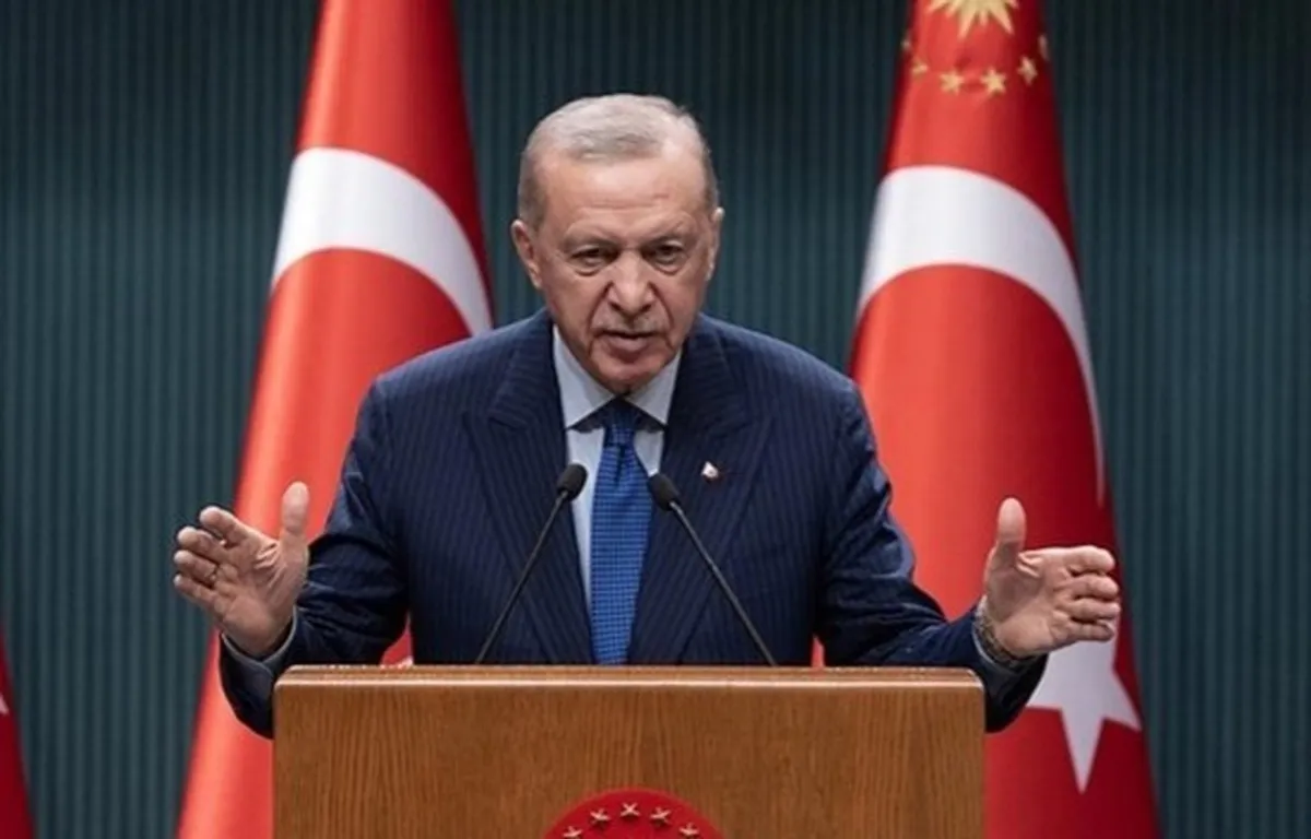 اردوغان: از تشکیل حکومتی فراگیر در سوریه استقبال می‌کنیم